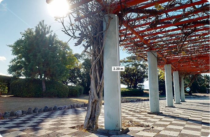 3Dスキャンイメージ